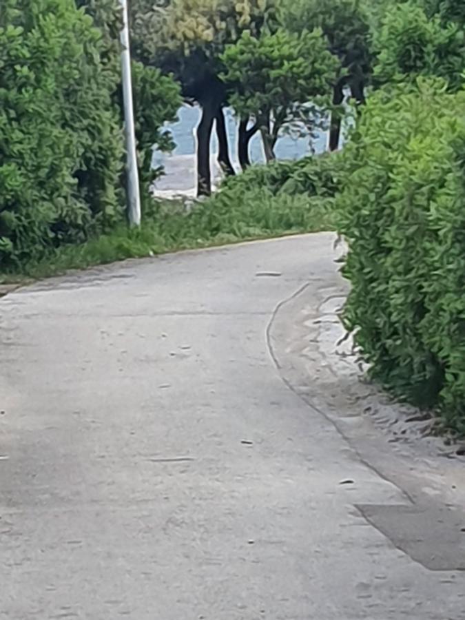 Apartments Jedro 佩特坎内 外观 照片