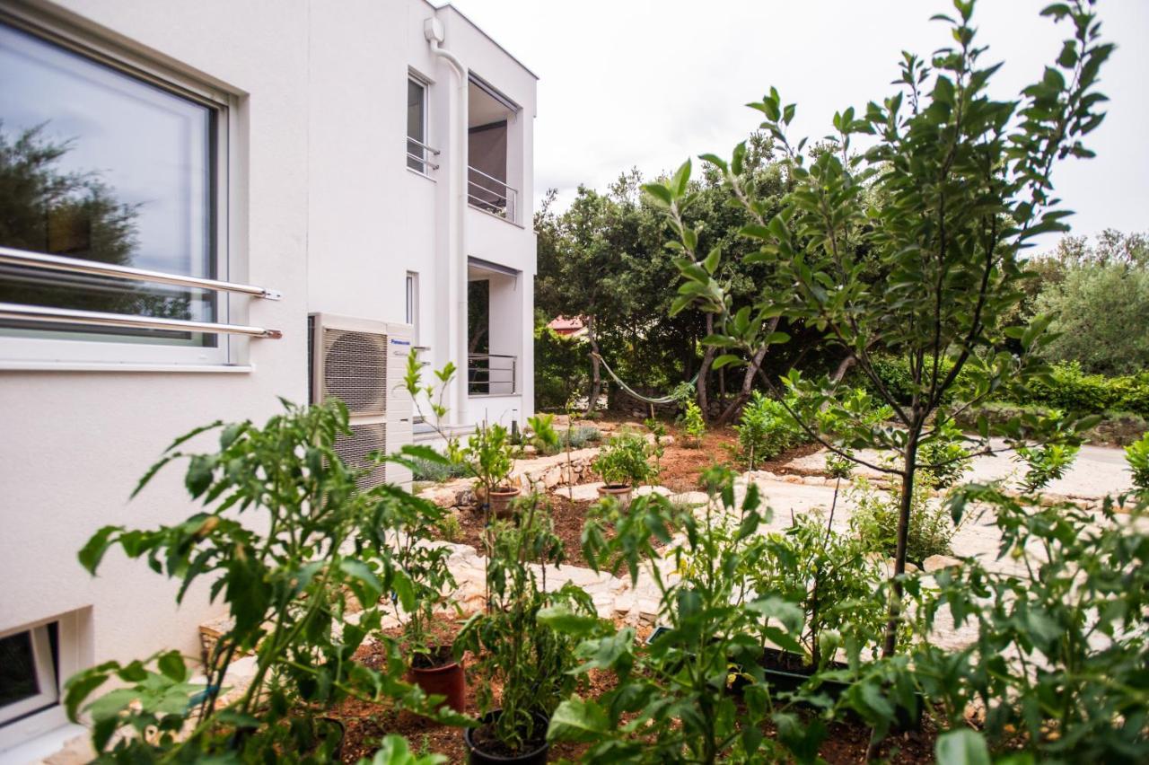 Apartments Jedro 佩特坎内 外观 照片